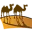 morocco-deserttour.com favicon