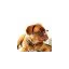tisvildebiobistro.dk favicon