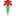 forever-florist-indonesia.com favicon