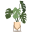 gardenplantnursery.shop favicon