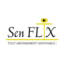senflix221.store favicon