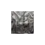 shop.toffa.com favicon