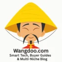 wangdoo.com favicon