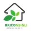 briconsigli.com favicon