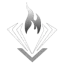 onyxfiremarketing.com favicon