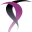 pmrnordic.se favicon