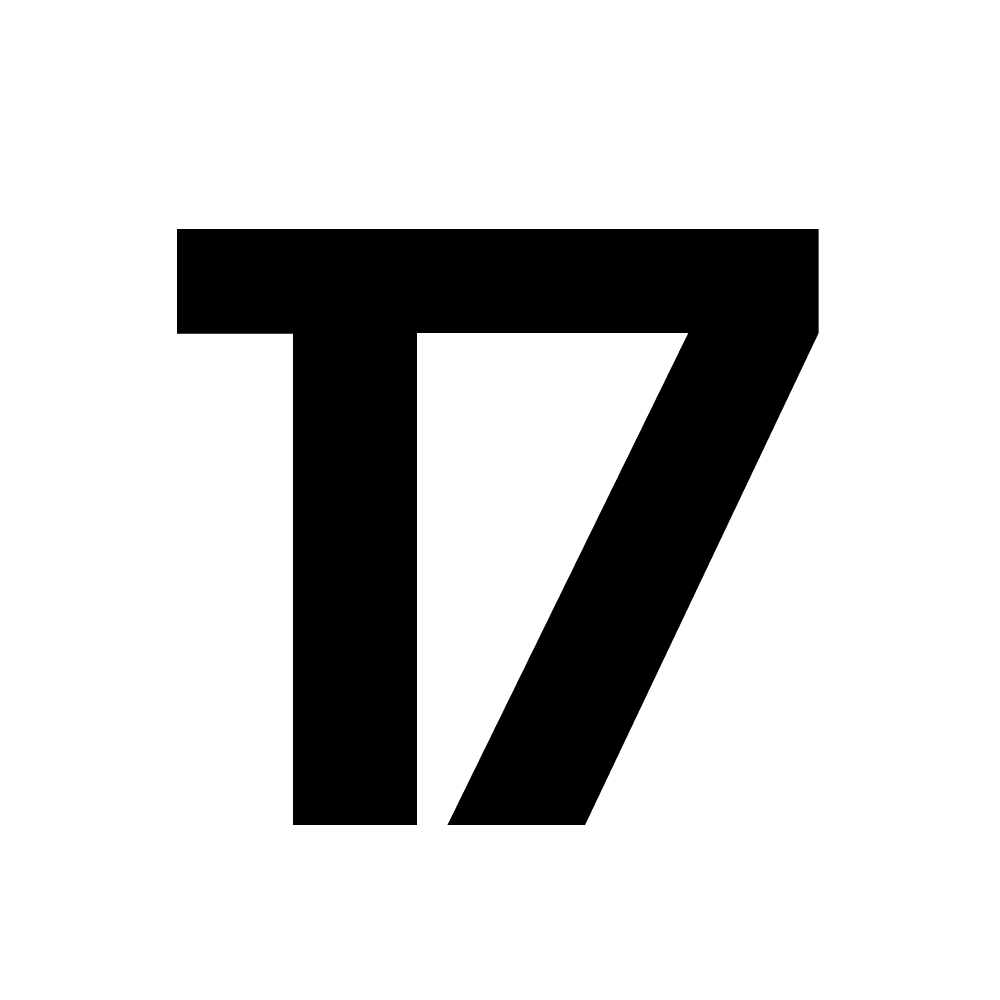 studio17.world favicon