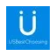 usbestchoosing.com favicon