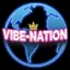 vibe-nation.com favicon