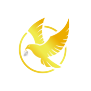 datenrettungfalk.com favicon