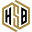 highstatuslimo.com favicon