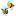 honeypotcrafts.co.uk favicon