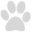 petmoves.com favicon