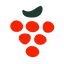 pro.plugwine.com favicon