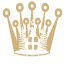 savoypalace.it favicon