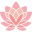 berkshiremenopauseclinic.com favicon