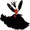 darkincloset.com favicon