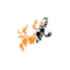 dracaenaexplorations.com favicon
