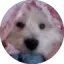 mysleepybelly.com favicon