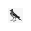 skylarkinn.co.uk favicon