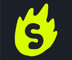 starzino-nl.net favicon