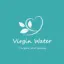 virginwateritalia.it favicon