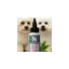 whitestars.dk favicon