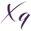 xq-vip.com favicon