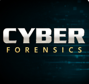 cyber-forensics.net favicon