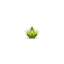 drishtiyogshala.com favicon