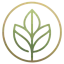 elyma.de favicon