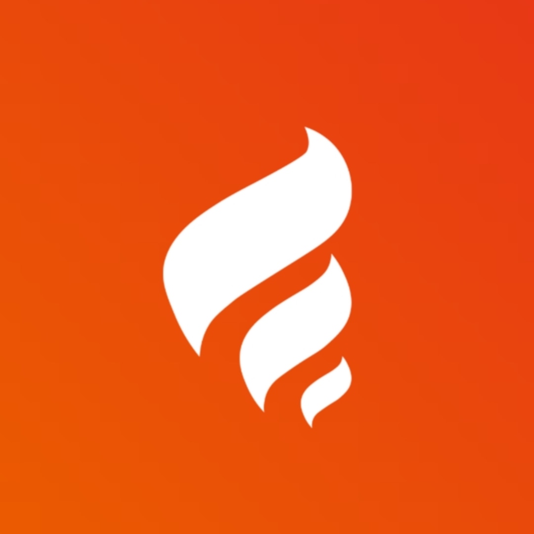 fire-hosting.net favicon