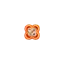 onlinerakhistore.com favicon