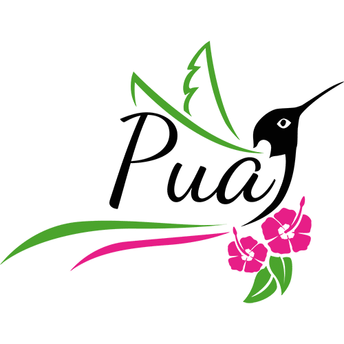 pualima.de favicon