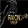 raiongroup.com favicon