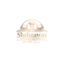 shahnawazrestaurant.com favicon