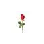 blomsterdk.dk favicon