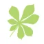 conkershoes.com favicon