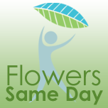flowerssameday.co.uk favicon