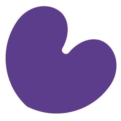 fryskmakelaars.nl favicon