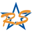 receivesms.in favicon