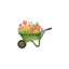 viralsupershop.com favicon