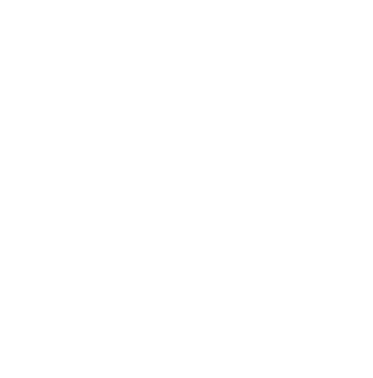 bitupholds.com favicon