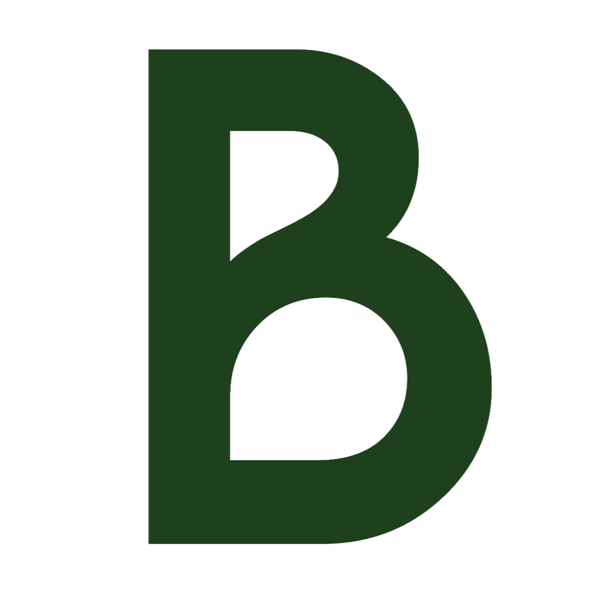 bornvia.com favicon
