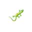 coachingetdecouvertes.net favicon