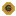 dadscord.com favicon