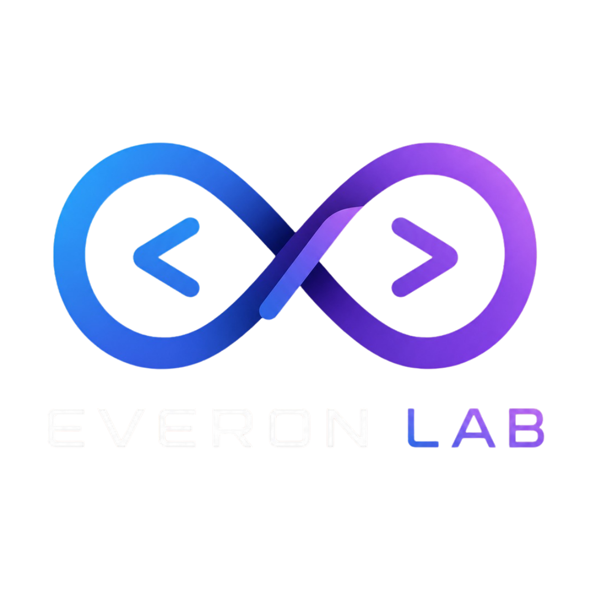 everonlab.in favicon