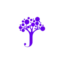 niftypersonalloans.com.au favicon