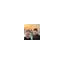 theluggage.it favicon