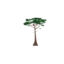 cypressig.com favicon